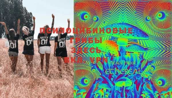 молекула духа Алексеевка