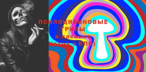 молекула духа Алексеевка