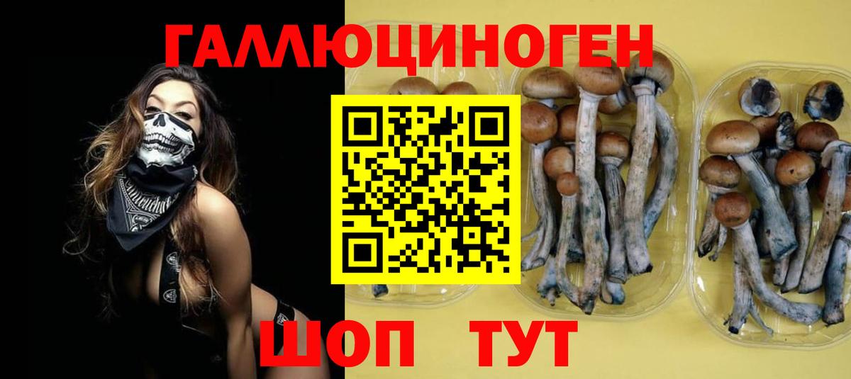 Карабулак  Псилоцибиновые грибы MAGIC MUSHROOMS  Вход с VPN 
