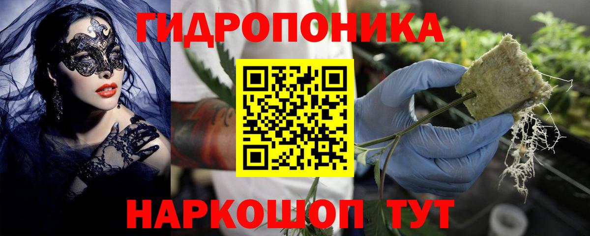 Бошки Шишки индика  Конопля AK-47  Вход с VPN  Каннабис план  Карабулак 